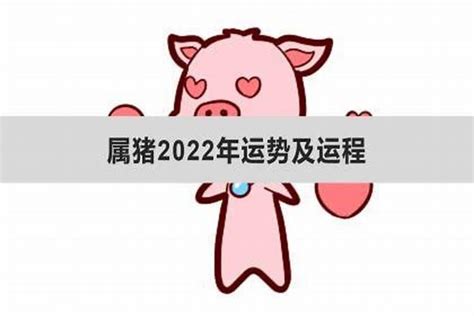 2024年猪运程|属猪人2024年运势运程详解 2024生肖猪全年运程